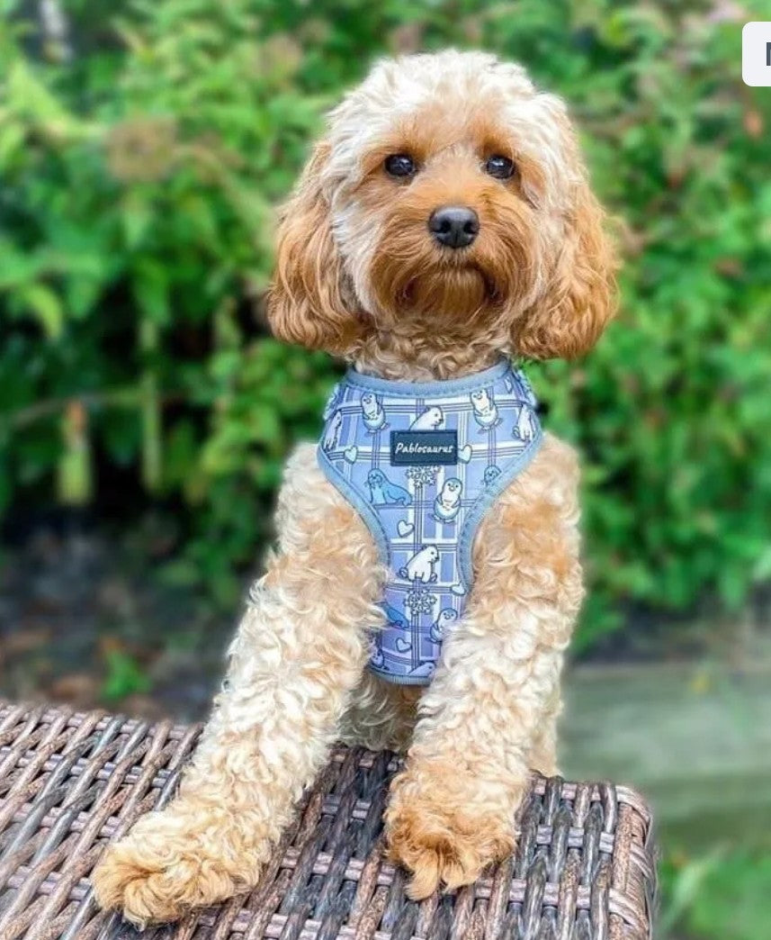 Frozen friends harness