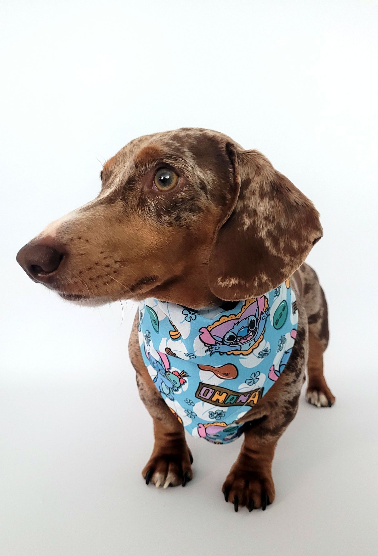 626 bandana