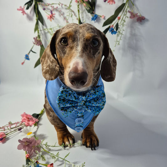 Shirt bowtie bandana limited edition