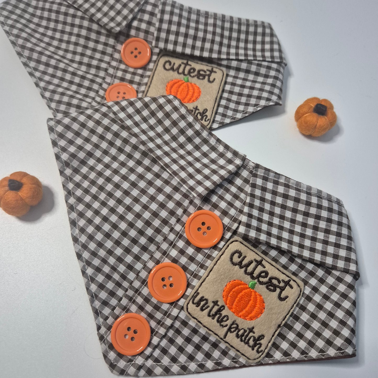 Brown gingham pumpkin patch collar shirt