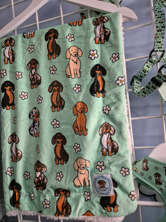 Dachshunds & daisies blanket