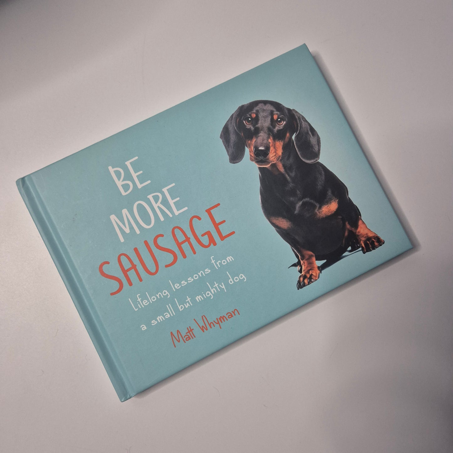 Sausage dog book
