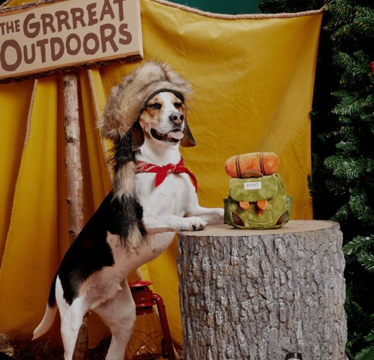 Rowdy ruckus backpack enrichment toy