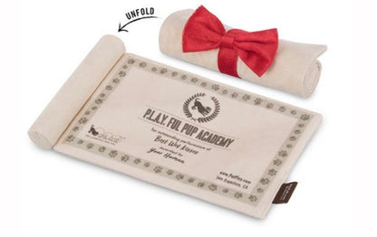 K9 scholar hat and diploma enrichment toy