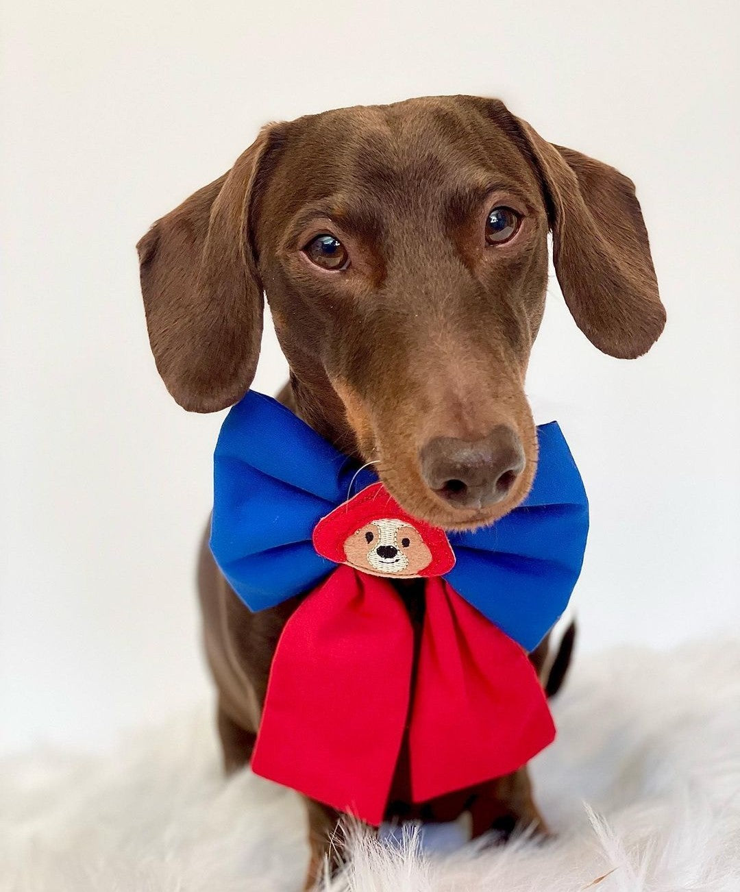 Paddingtin bear embroidered sailor bow