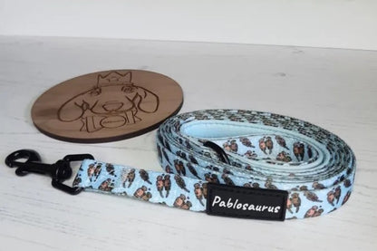 Matching leads