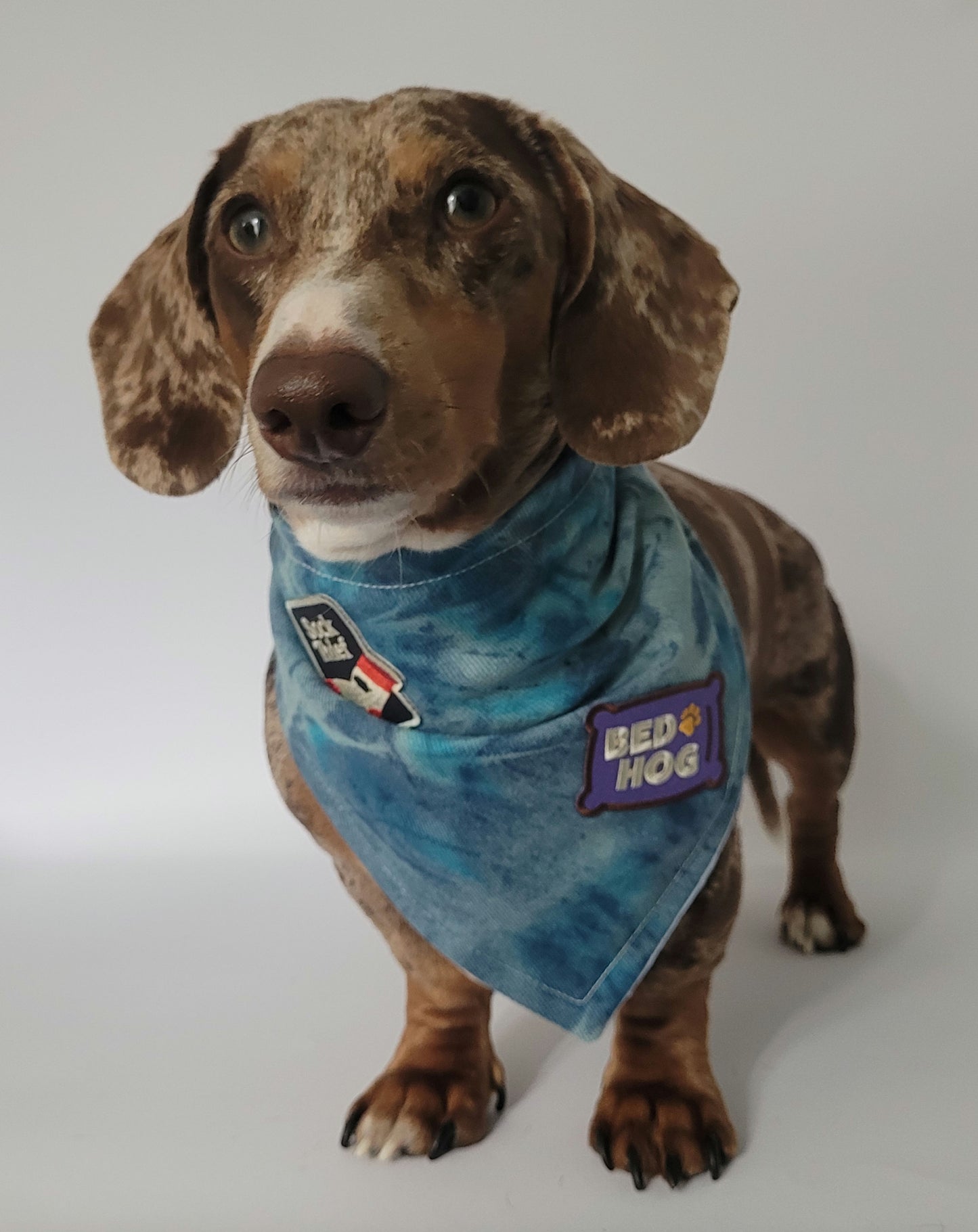 Blue Denim dreams tye dye bandana (add your own patches)
