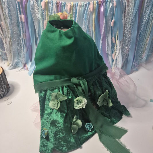 12" neck 16" waist dress Pablosaurus