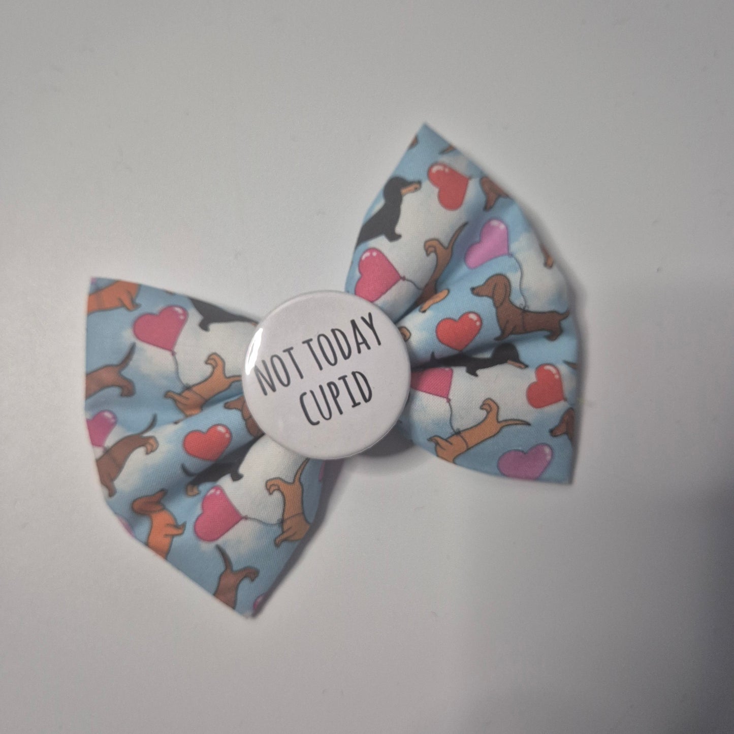 Not today daxie bowtie