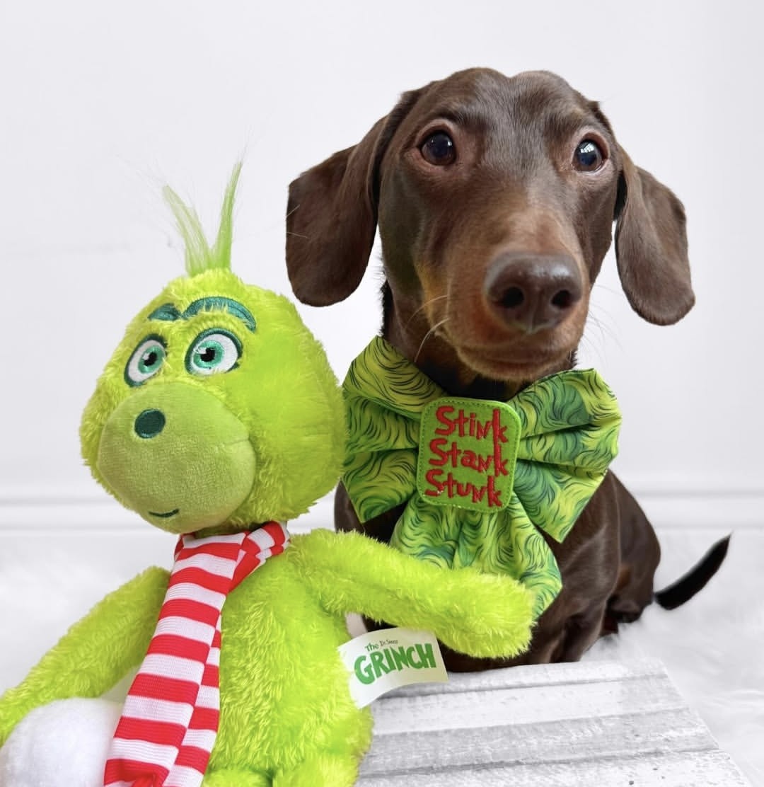 Stink stank stunk embroidered sailor bow