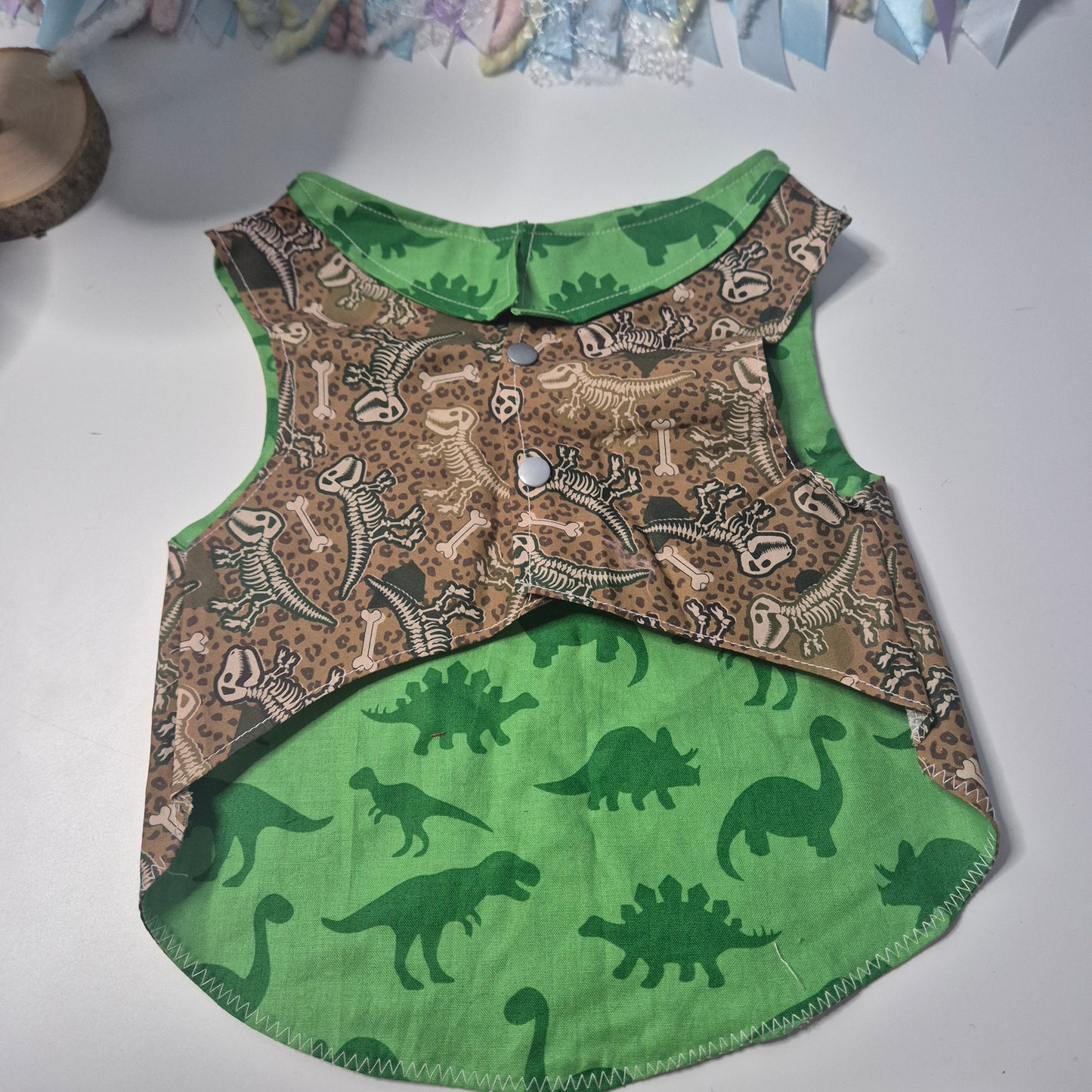 Small dino shirt