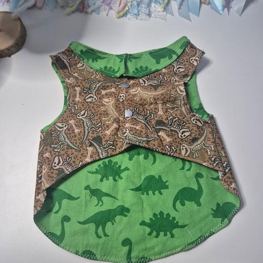 Small dino shirt