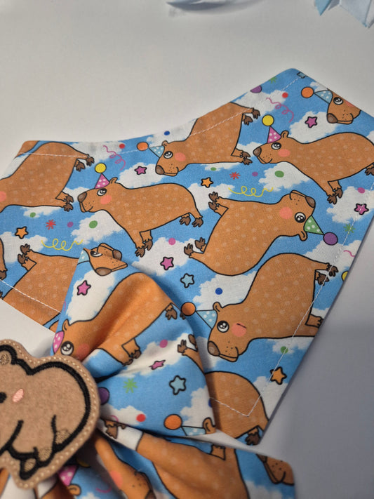 Cappy birthday bandana