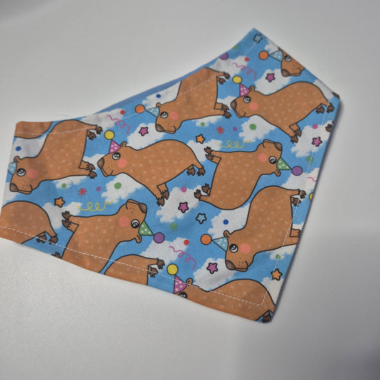 Small cappy birthday bandana