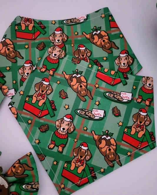 Xmas dachshund bandana