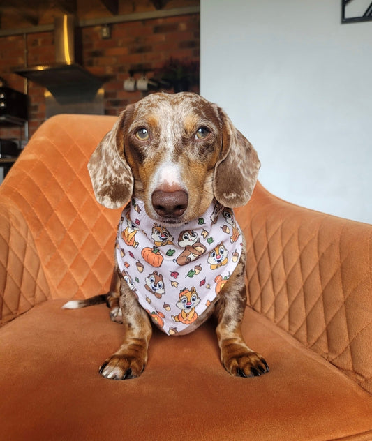 Autumn chipmunks bandana