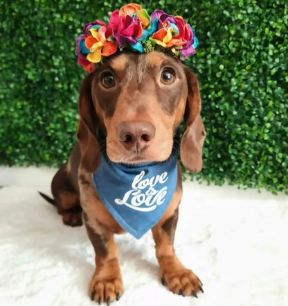 Mulberry rainbow flower crown  (can be used as collar)