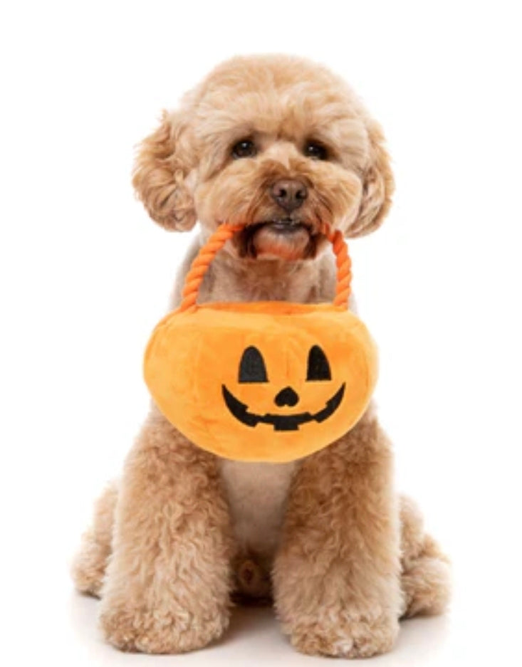 Fuzzyard treat or treat pumpkin basket last one