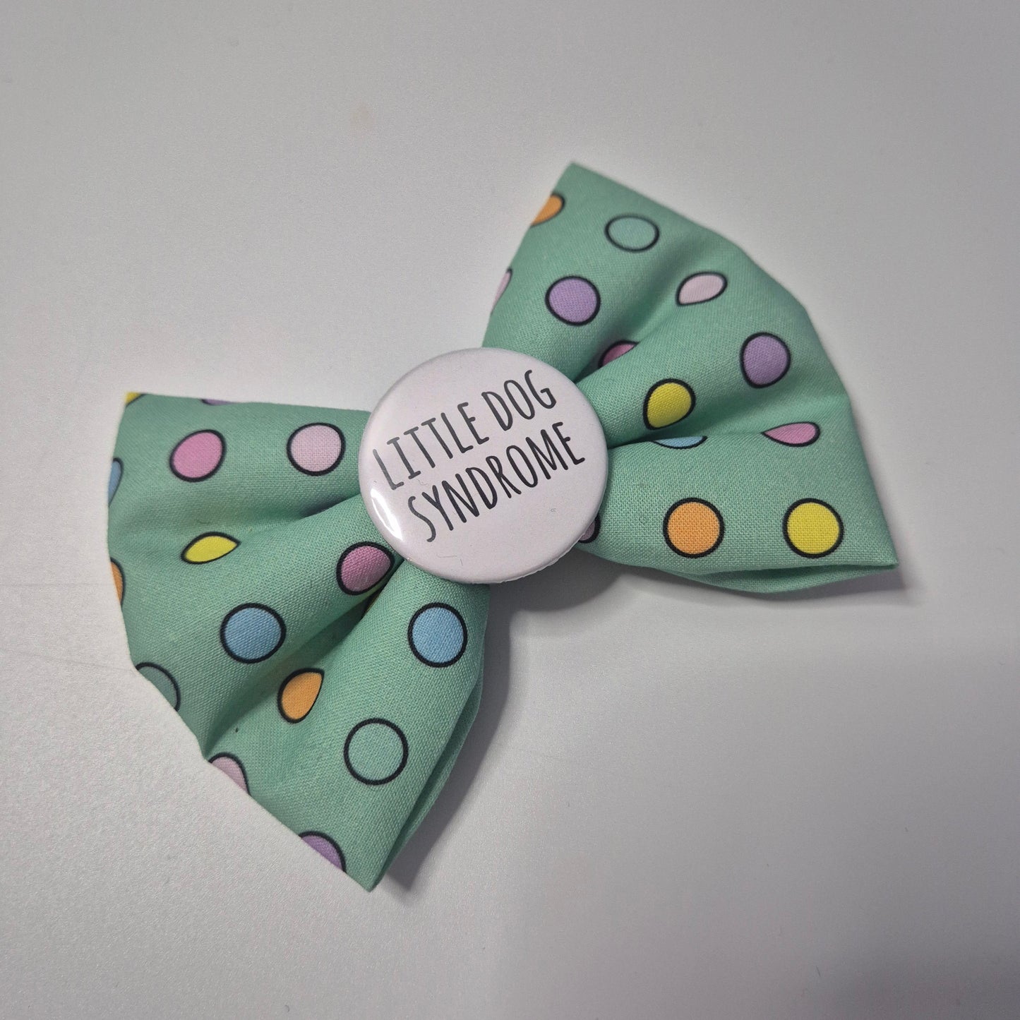 Little dog bowtie