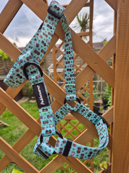 Dachshunds and daisies strap harness