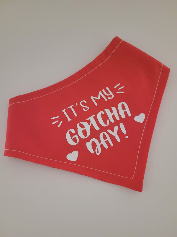 Gotcha day bandana (choose fabric colour) – Pablosaurus