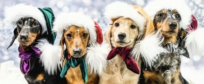 Velvet luxury santa hats (Please read description)