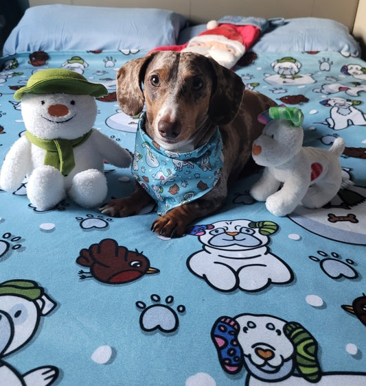 Snow dogs 150x150 fleece blanket x3 available