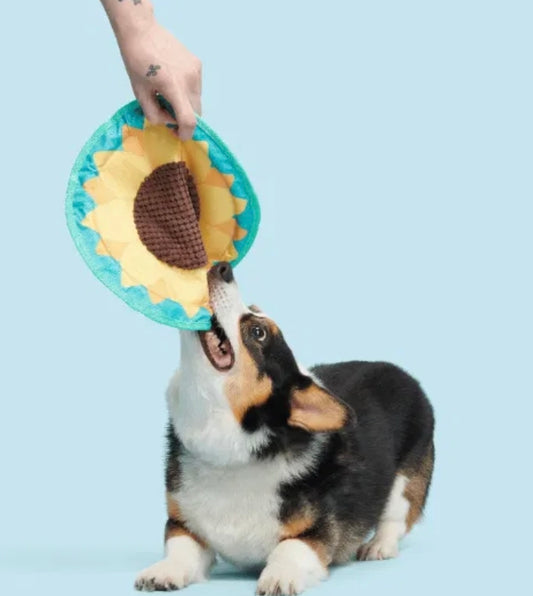 Sunflower flinger toy