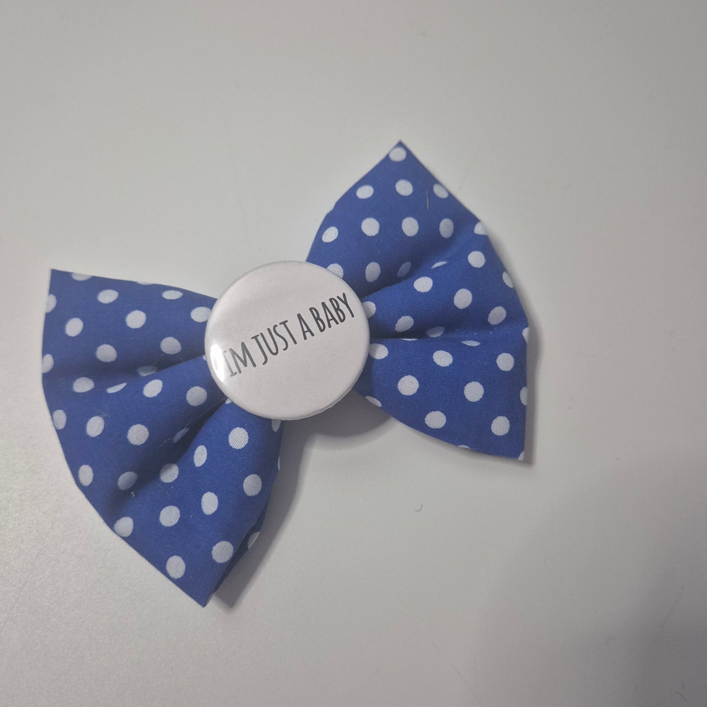 Just a baby bowtie
