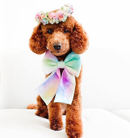 Mulberry pastel flower crown can be used as collar