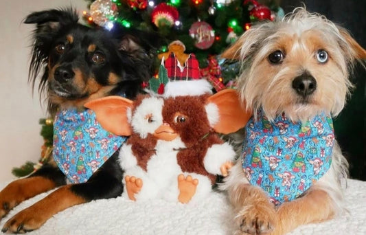 Don't feed after midnight bandana