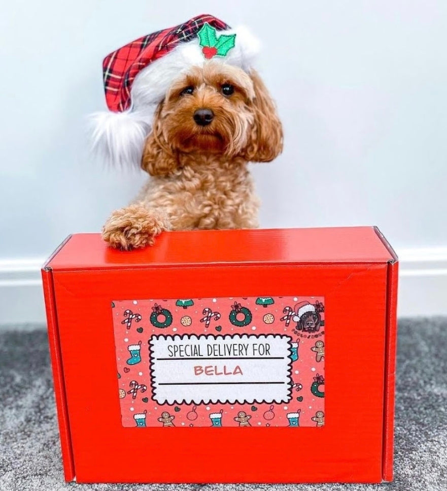 Special delivery mystery Christmas box